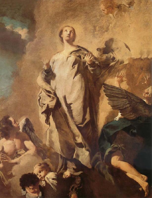 The Immaculate one, PIAZZETTA, Giovanni Battista